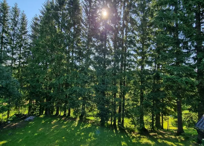 木屋 Charming Mountain Hut Kazic *